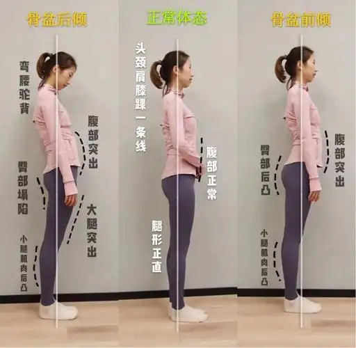 4,体态是否匀称