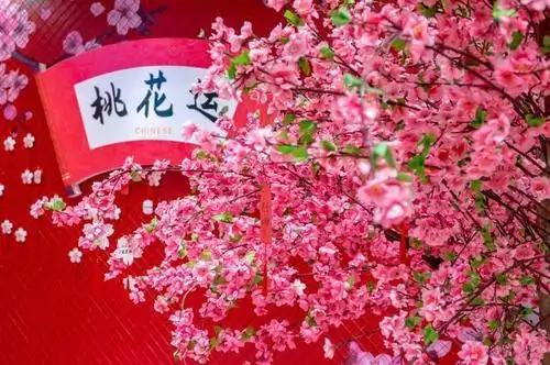 招桃花风水布局 招桃花运的风水方法 桃花风水阵