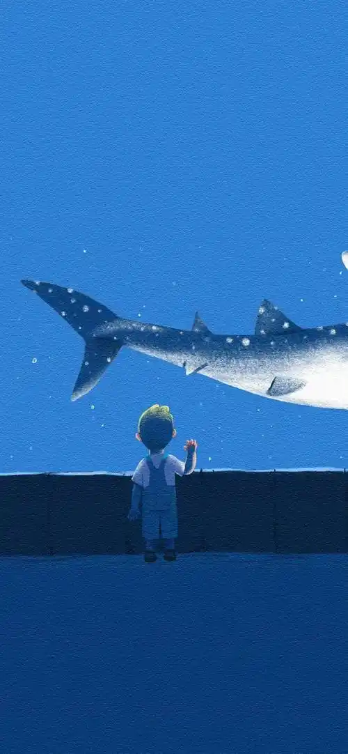 壁纸|8k高清手机壁纸 锁屏壁纸