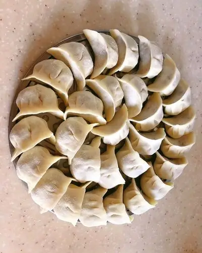 yohan宝儿做的猪肉酸菜饺子