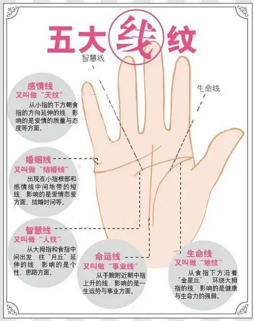 1,【生命线】,又叫做「地纹」.