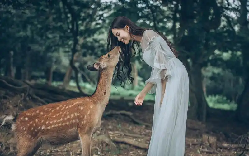 清纯美女户外森系风格写真图片桌面壁纸