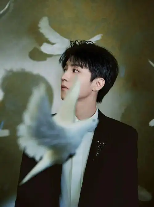 王俊凯##王俊凯电影野孩子##王俊凯电影刺猬##王俊凯电影749局