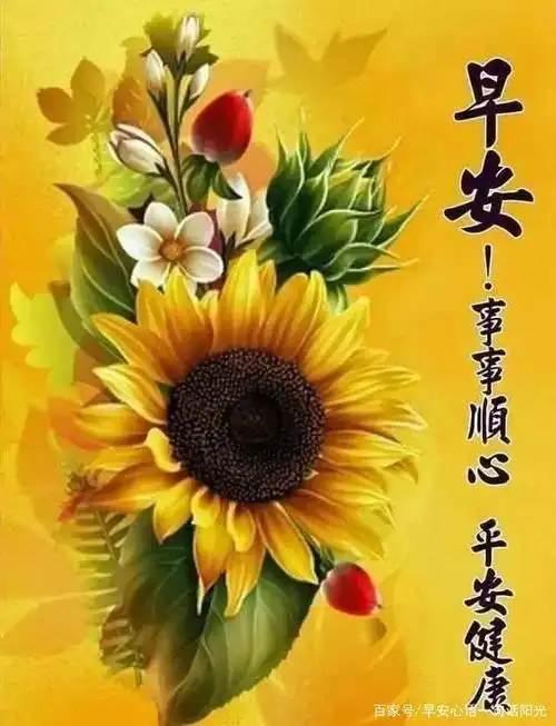 5月17日最漂亮早安问候语图片带字温馨