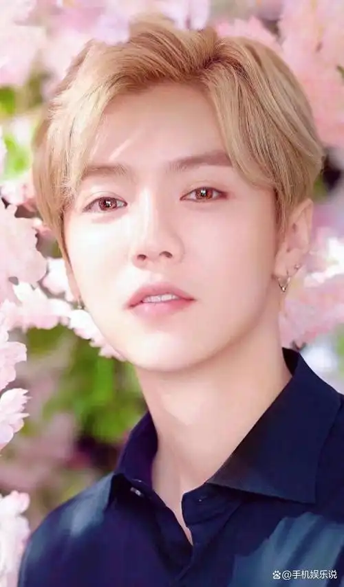 在演艺界,还真没有见过比鹿晗脸部皮肤更白的男人了.