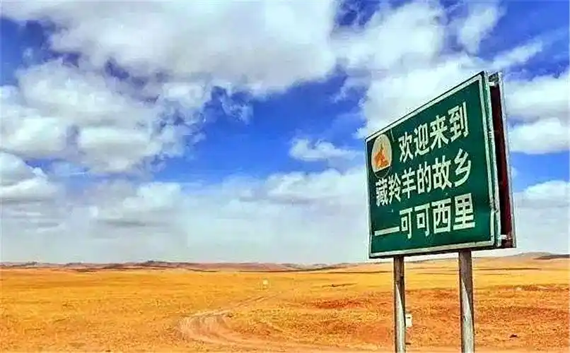 中国四大无人区,中国四大无一个人穿越无人区是啥后果插图(8)