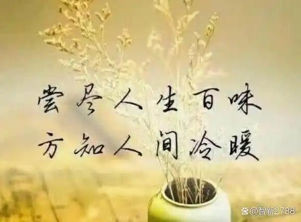 "人情世故"这个词的含义让我深有体会,我是一个从苦日子负债走出来的