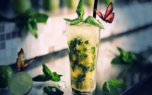 mojito鸡尾酒蝴蝶 壁纸