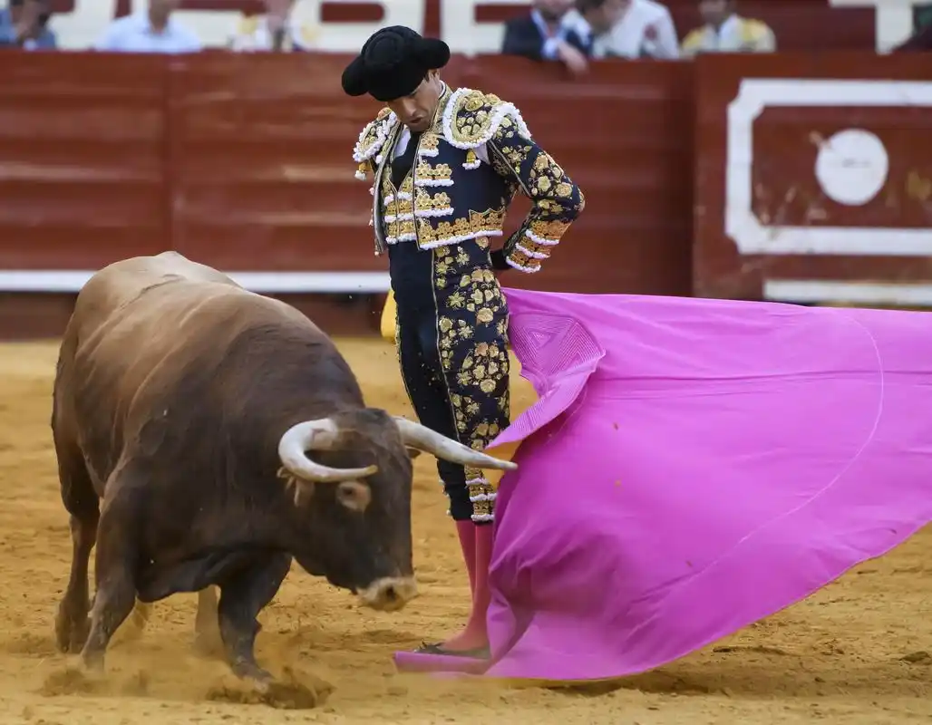 西班牙赫雷斯举行斗牛盛会 比赛现场紧张刺激