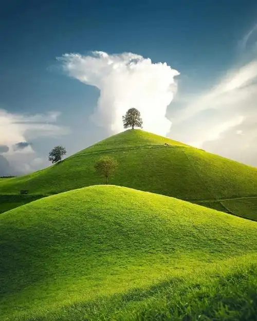 这草原比windows壁纸好看