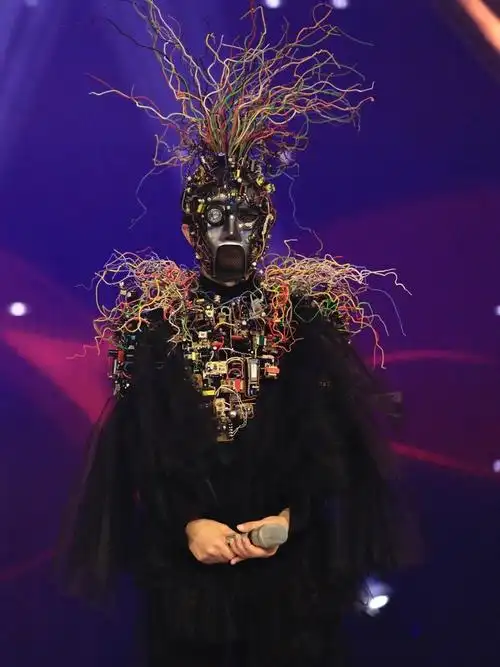 《蒙面唱将猜猜猜》没错,超级电脑"瓦特拉"就是我!