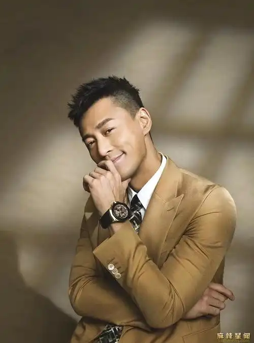 林峰老婆是谁林峰曾被岳父岳母拒绝