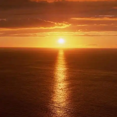 好看头像风景图片花草,这美景顿然心悟,豁然开朗