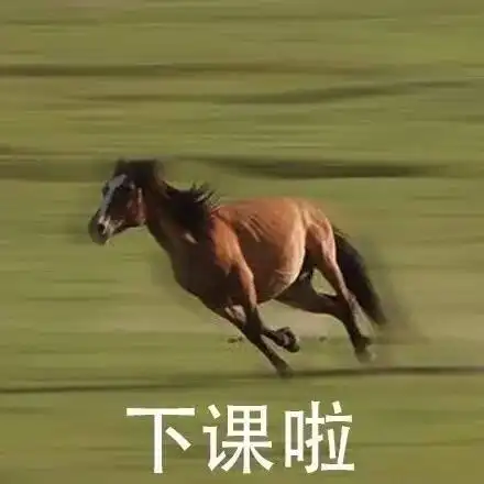 我的朋友表情包 - 群聊必备表情包 - 日常表情包