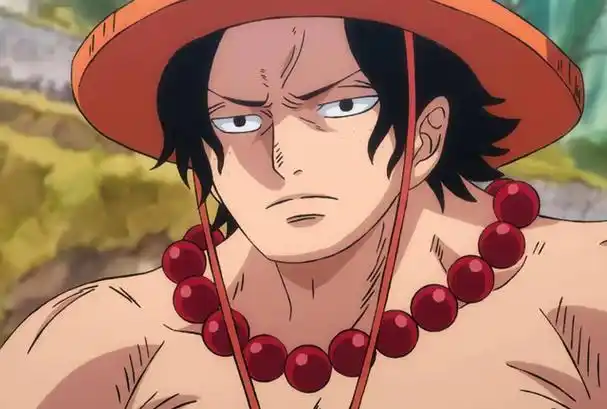 海贼王:拥有烧烧果实的艾斯,实力咋样?他的强者之路能走多远