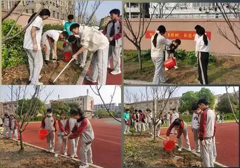 汀田第一中学开展班级树种植活动