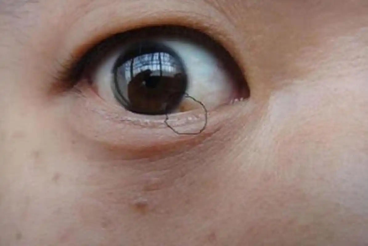 气血不足,说得是不是你?