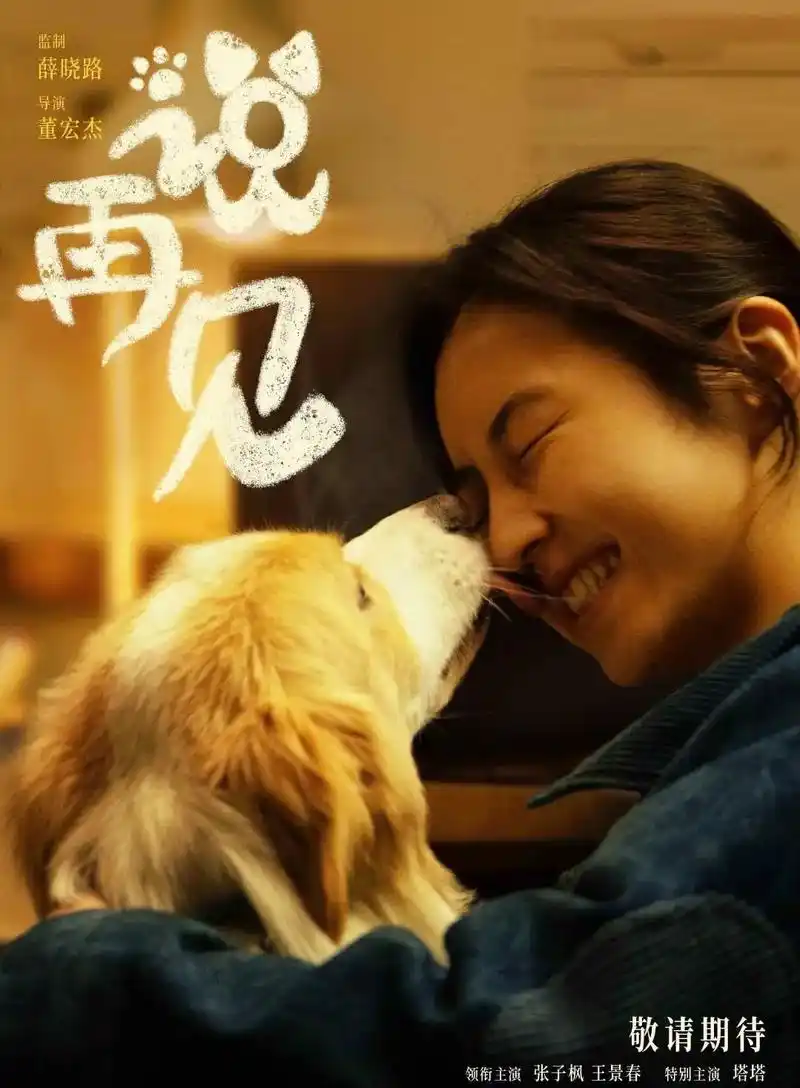 期待子枫妹妹的新电影《说再见》说好了,要再见!#张子枫新电影 - 抖音