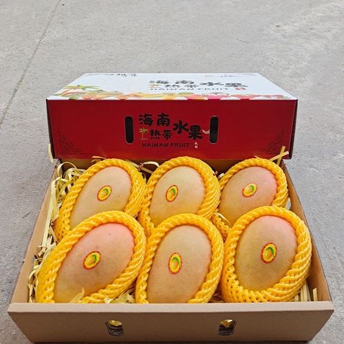 海南红玉芒玉文芒特大红芒果应季热带新鲜水果现摘现发包邮10斤装