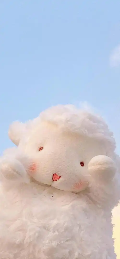 可爱萌萌的小羊壁纸