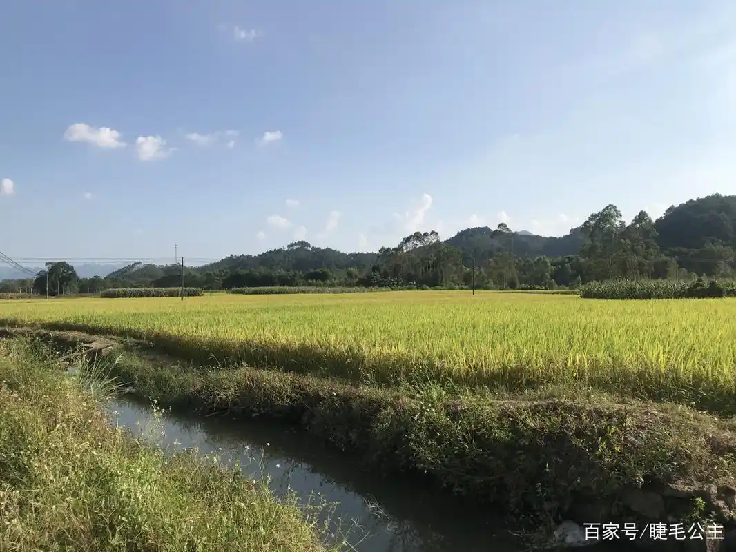 国庆假期农村风景照,分享我拍的