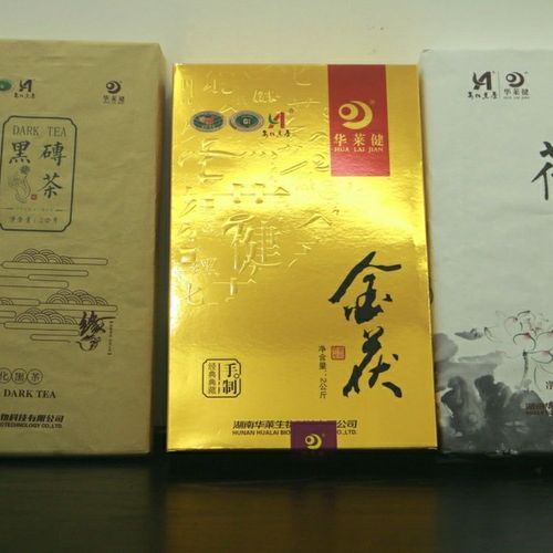 安化黑茶 套装茶 华莱健套装茶 金伏 黑砖 荷香