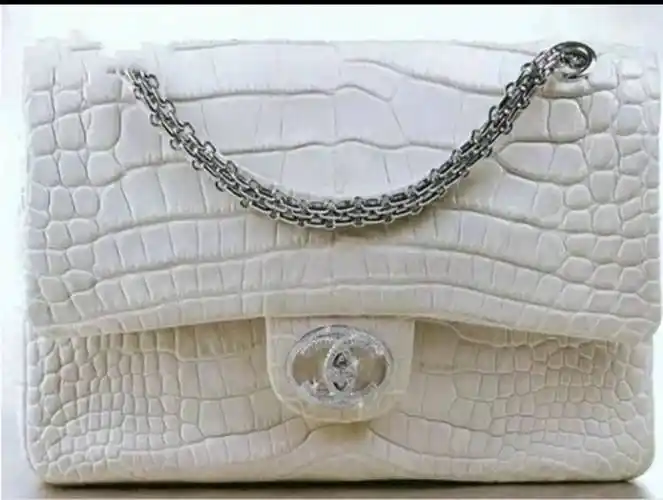 奋斗一辈子可能买不起一个包,世上最贵的包,一个价值北京一套房_包包