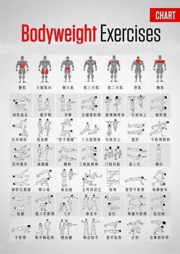 神图丨徒手训练动作全身一览