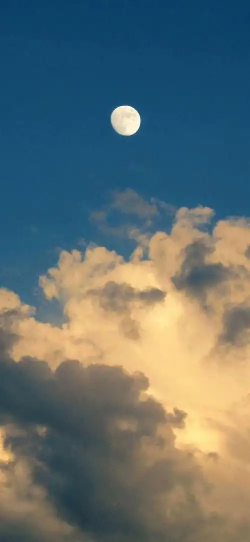 全面屏壁纸高清 | 2020好看手机壁纸