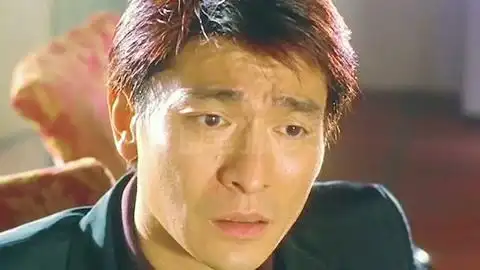 刘德华老师的经典动作影片