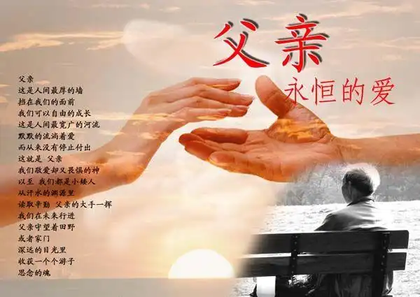 景迈茶山种满我对父亲深深地思念