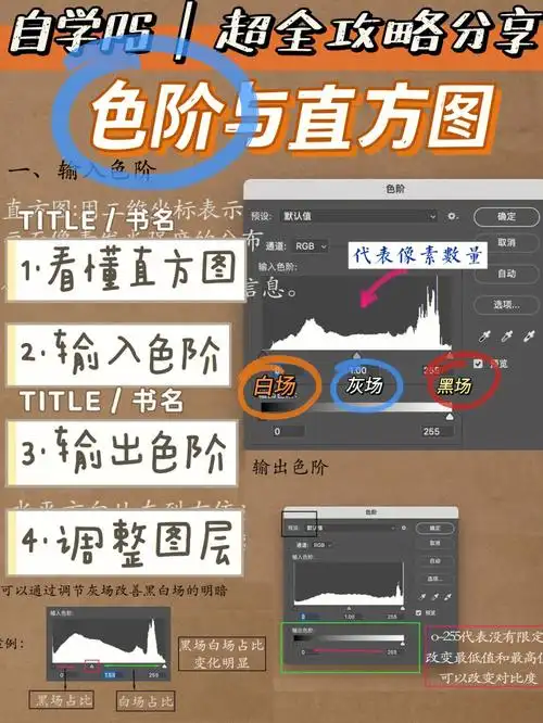 自学ps丨笔记分享丨色阶直方图丨day8打卡
