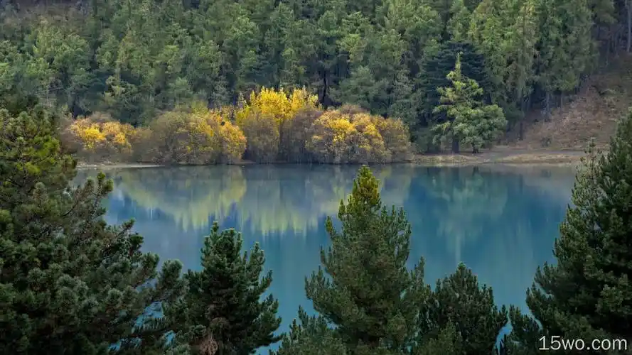 反射自然保护区植被性质生态系统壁纸4096x2160