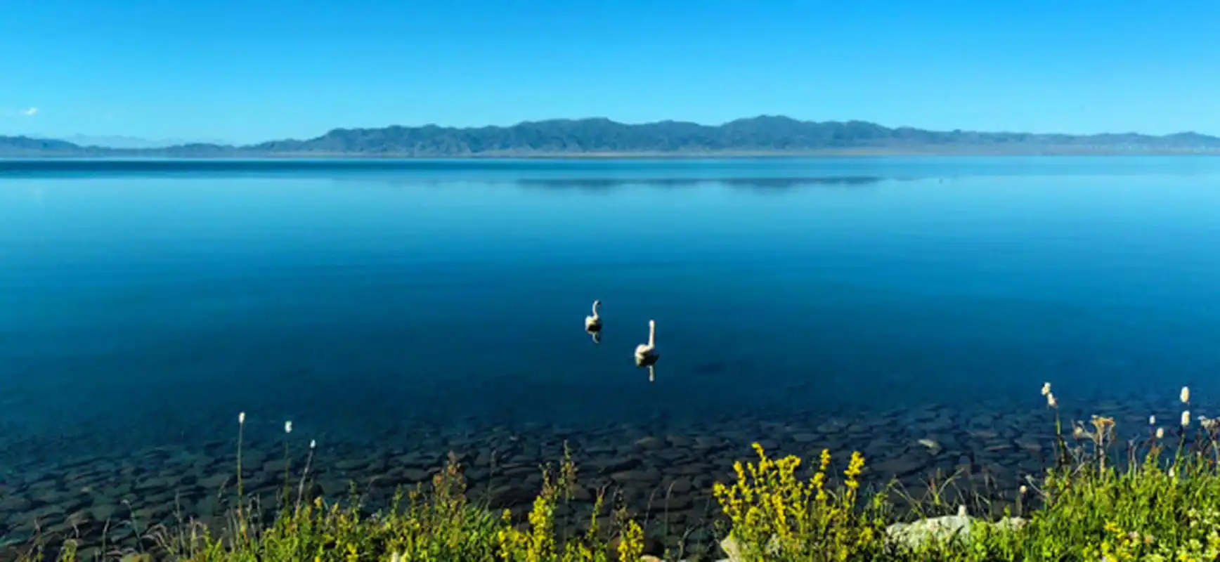 风景摄影# 走马观花赛里木湖     新疆海拔最高,面积最大,风光秀丽的