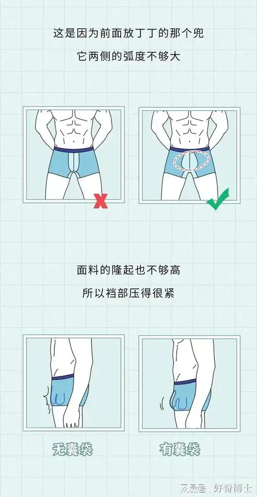 你们根本不知道男士内裤的正确穿法