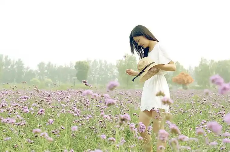 美女薰衣草花海