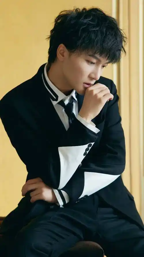 歌手周深,中国内地流行乐男歌手