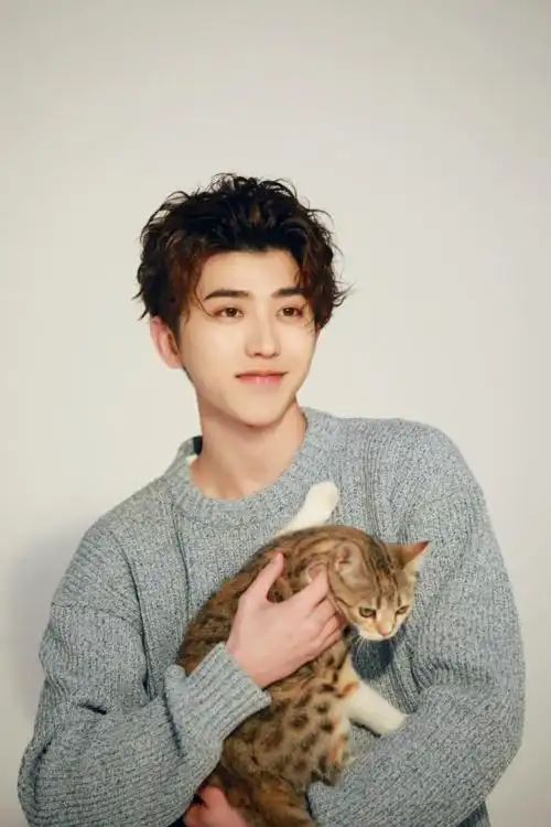 小猫咪把爪子搭在坤坤胸膛的画面简直今日最苏,蔡徐坤又在散发魅力了!