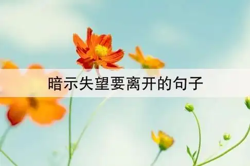 离开的文案(2)暗示自己要离开的句子(3)暗示自己很失望的句子发朋友圈