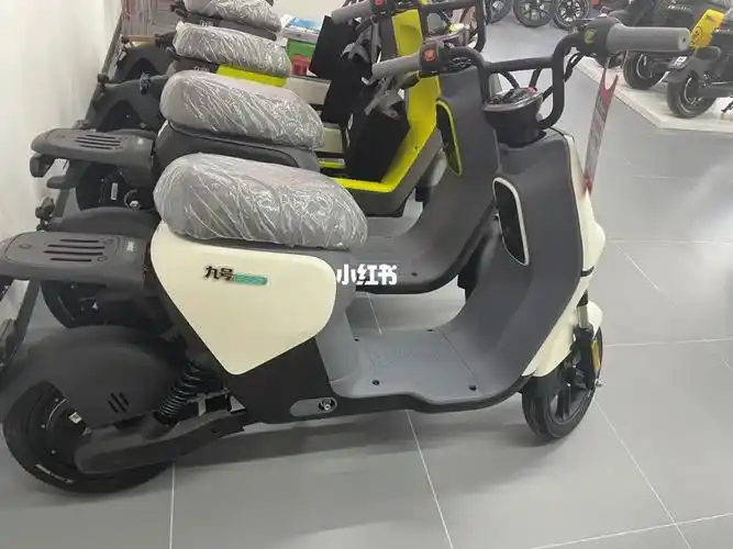 九号电动车新国标b30c