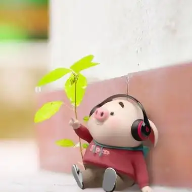 超萌小猪头像图片大全,可爱头像图片