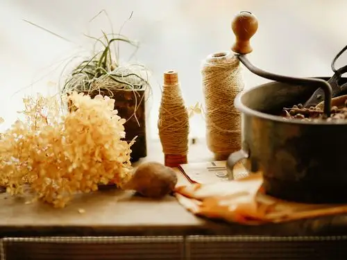 良辰锦时细细数,花,线轴,盆,盆栽,复古,文艺,报纸,静好,静物,风景