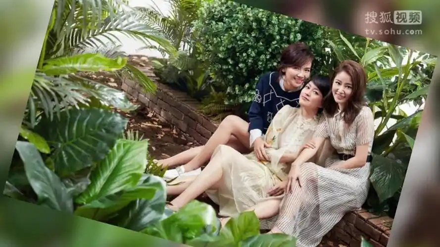 刘涛林心如梁咏琪登封面 女神秀美丽心经-娱乐视频-搜狐视频