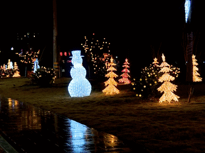 乐清农村这条"荧光大道",越"夜"越美丽!_彩灯