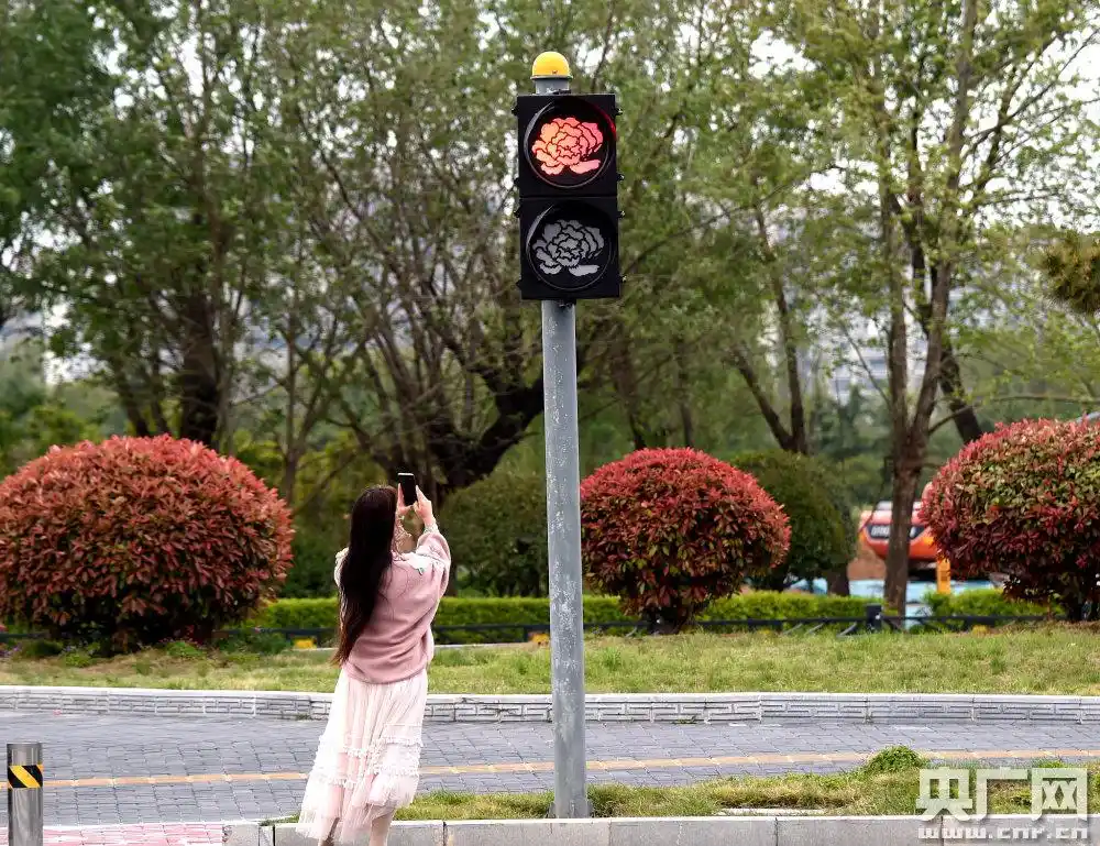 (2021年4月9日,河南洛阳现牡丹型红绿灯.资料图)