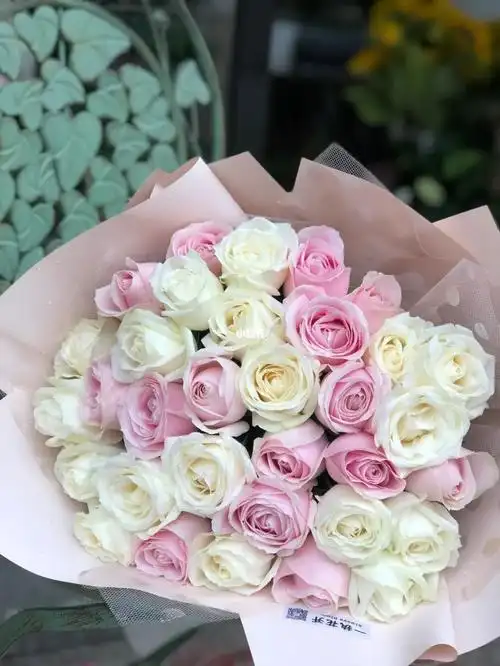 33朵粉白玫瑰
