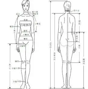 人体测量方法