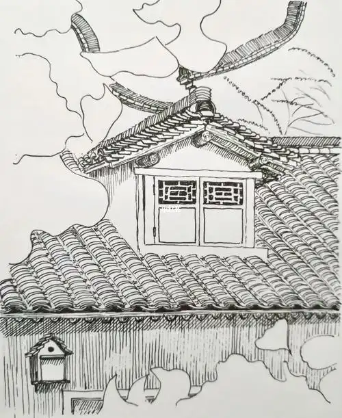 每日一画day250钢笔画之乌镇五