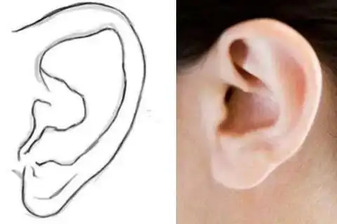 耳朵大向外扩张男孩子面相耳朵外翻命运好不好