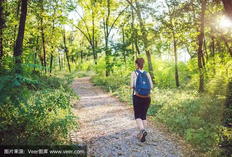 女背包客在森林小径上行走的背影照片.